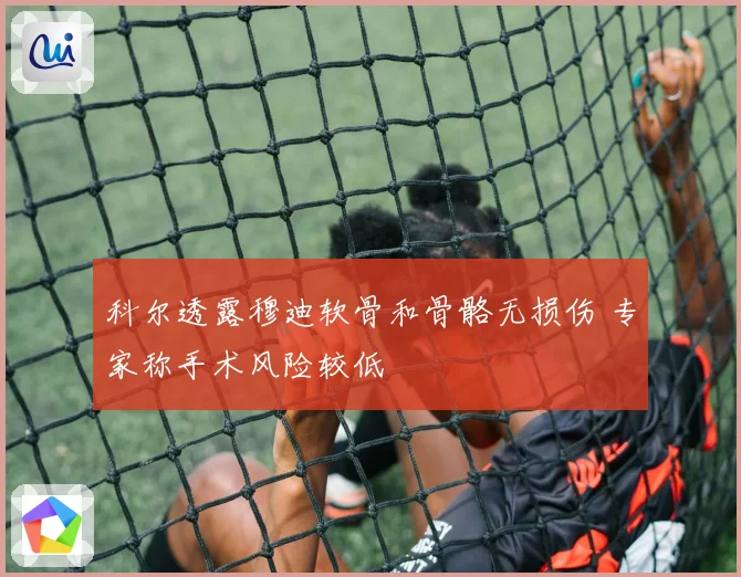 科尔透露穆迪软骨和骨骼无损伤 专家称手术风险较低