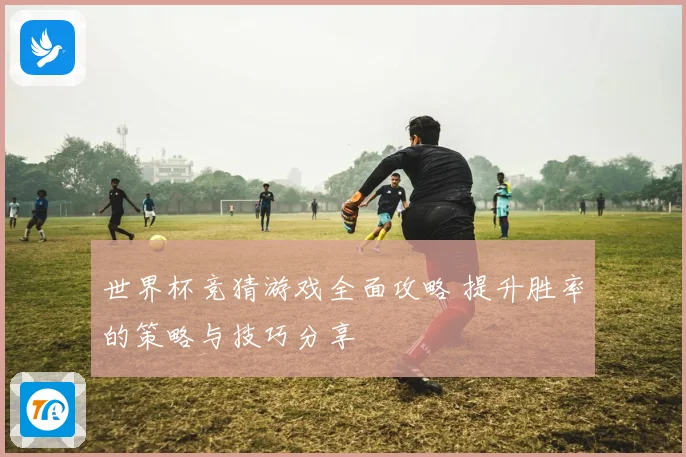 世界杯竞猜游戏全面攻略 提升胜率的策略与技巧分享